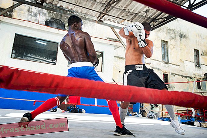 articles, arts et culture, art et artistes, voyages - Ces photos de Cuba vous placent dans le ring de boxe
