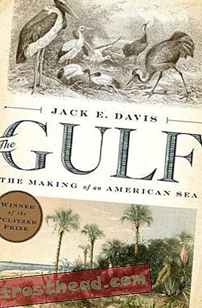 Preview thumbnail for 'The Gulf: The Making of An American Sea