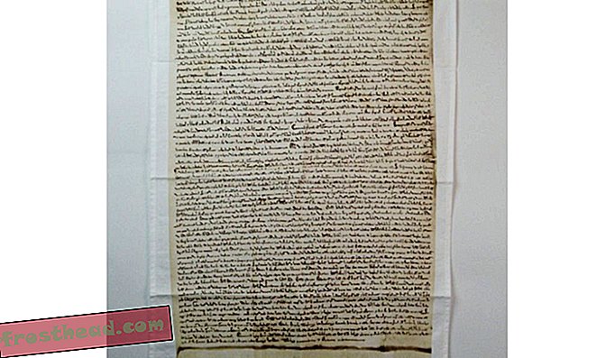 Много британско tchotchke: чайната кърпа Magna Carta.