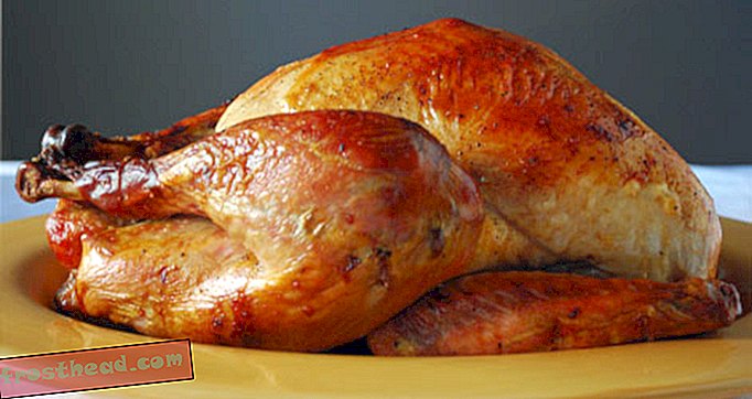 Videnskaben om madlavning af et Tyrkiet og andre Thanksgiving-retter