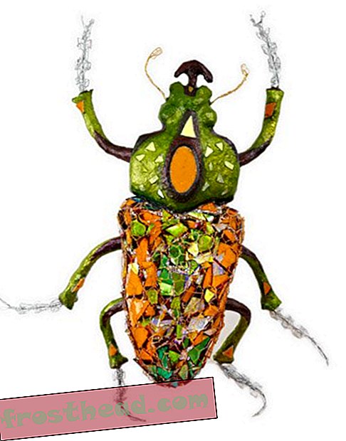 Beetles Invasion: One Artist's Take on the Insect