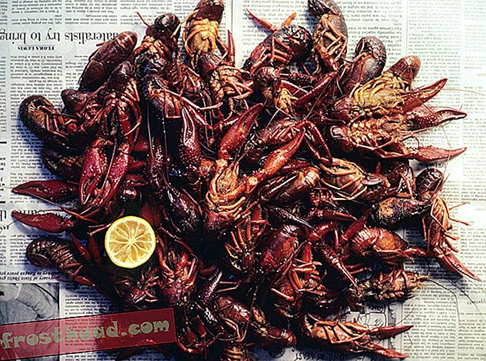 artikler, kunst og kultur, mat, reise, USA og Canada, Louisiana - Hvorfor crawfish er Louisianas kulinariske gave til nasjonen