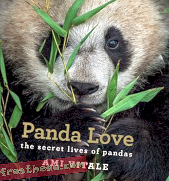 Preview thumbnail for 'Panda Love: The Secret Lives of Pandas