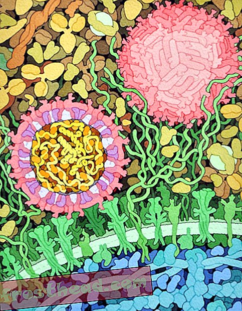 artikler, kunst & kultur, kunst & kunstnere, videnskab, sind og krop - Dette maleri viser, hvordan det kan se ud, når Zika inficerer en celle