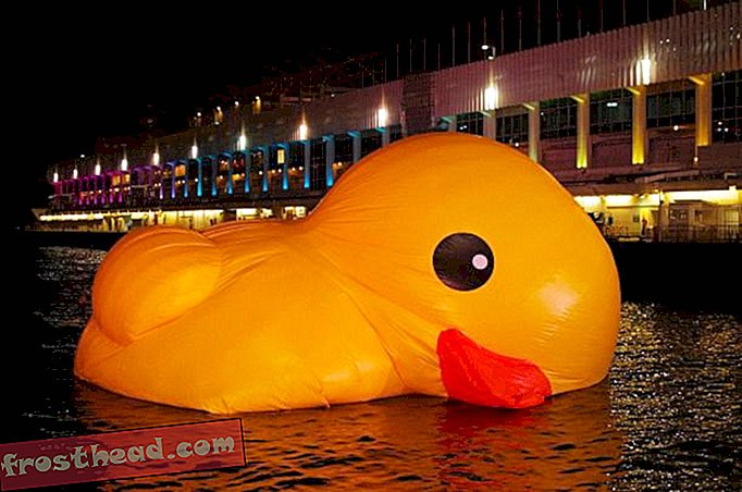 Hong Kong se enamoró de este pato de goma más grande que la vida