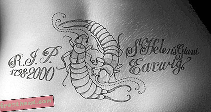 Αυτά τα τατουάζ τιμούν τα χαμένα, όχι τόσο αγαπημένα είδη