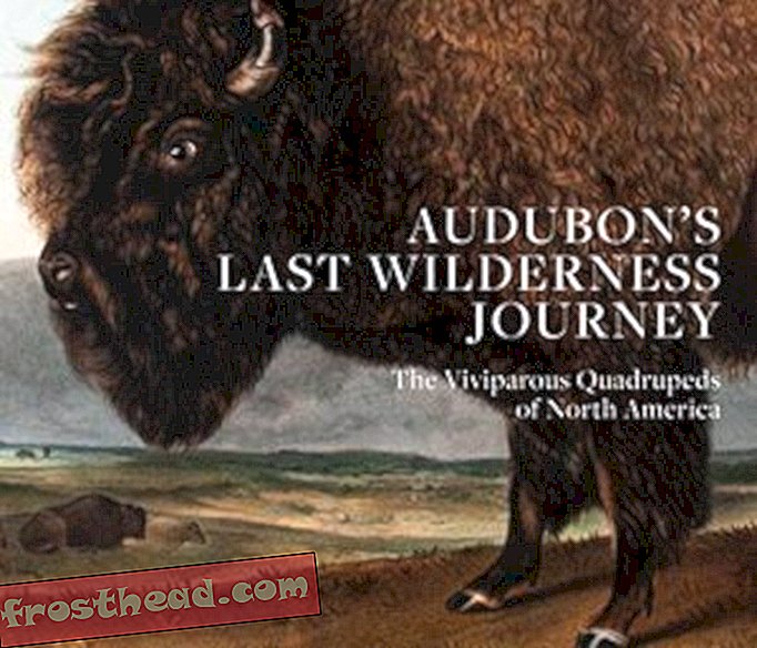 Fantastic Beasts John James Audubonin vähän tunnetusta nisäkkäiden teoksesta