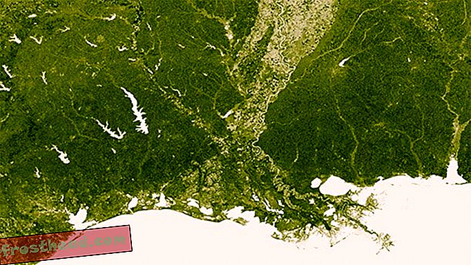 Hier zie je de rivier de Mississippi en zijn zijrivieren uitlopen in de Golf van Mexico.