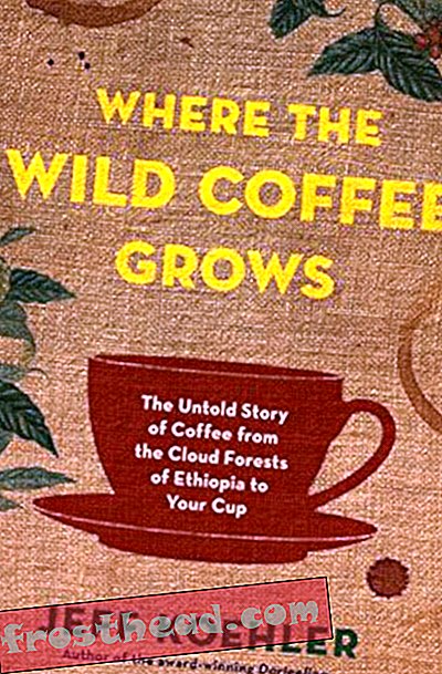 Preview thumbnail for 'Where the Wild Coffee Grows: The Untold Story of Coffee from the Cloud Forests of Ethiopia to Your Cup