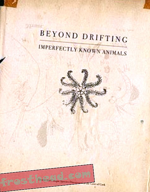 Preview thumbnail for 'Beyond Drifting: Imperfectly Known Animals