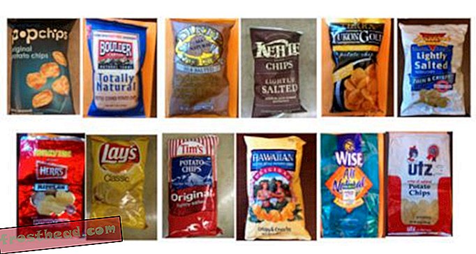 artykuły, kultura i sztuka, jedzenie, blogi, jedzenie i myśl - Koszt „Nie” w przypadku chipsów ziemniaczanych