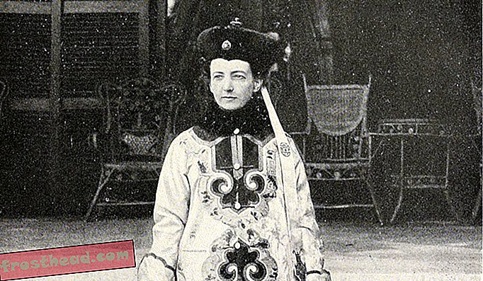 Някога политически, Сиси искаше западняк да нарисува портрет, предназначен за Запада. Тя възлага на художничката Катарине А. Карл (по-горе в традиционната китайска рокля) да направи картината за експозицията в Сейнт Луис от 1904 г.
