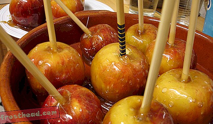 Домашните ябълки с ириска, като тези на снимката по-горе, са задължителни за нощните празненства на Bonfire в Лондон.