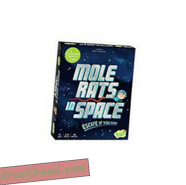 Preview thumbnail for 'Peaceable Kingdom Mole Rats in Space Cooperative Strategy Game for Big Kids