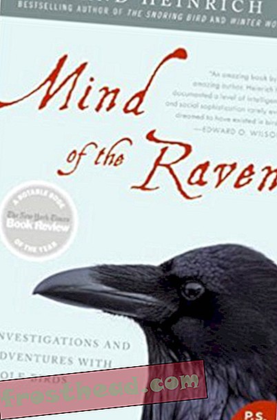 Recenzja „Mind of the Raven”