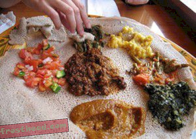Близкие контакты эфиопского рода