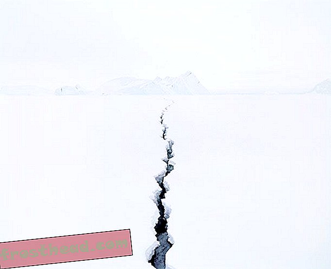 Fissure 2 (Antarktis) fra Sans Nom, av Jean de Pomereu