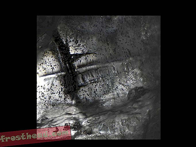 "Ossuary" de-Urals-Still-Life4516860v2_328.jpg