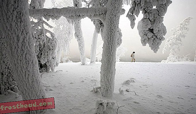 чланци, уметност и култура, уметност и уметници - У хладноћи Сибира, један фотограф је морао да помеша нафту и воду