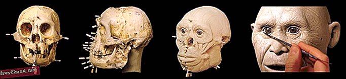 Proceso de homo floresiensis
