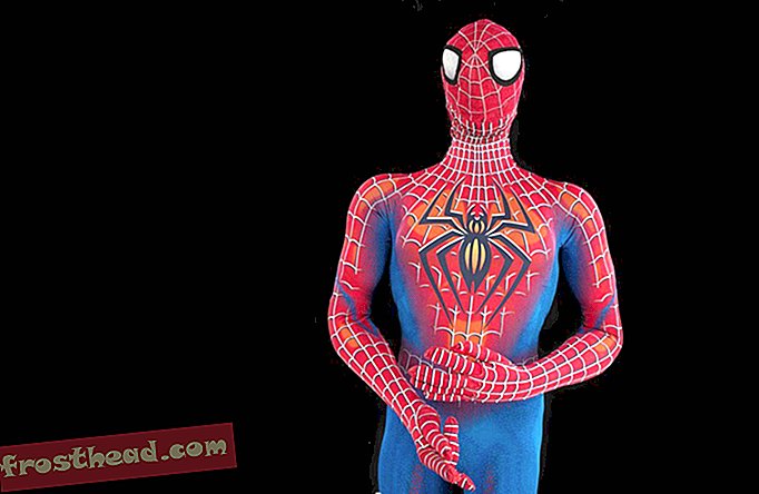članci, umjetnost i kultura, na Smithsonianu, iz zbirki - "Spider-Man: Off off the Dark" odijelo dobiva životno djelo u Američkom povijesnom muzeju