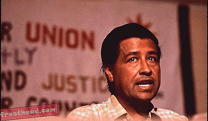 Лидер профсоюза трудящихся-мигрантов Сезар Чавес выступает в 1970 году.