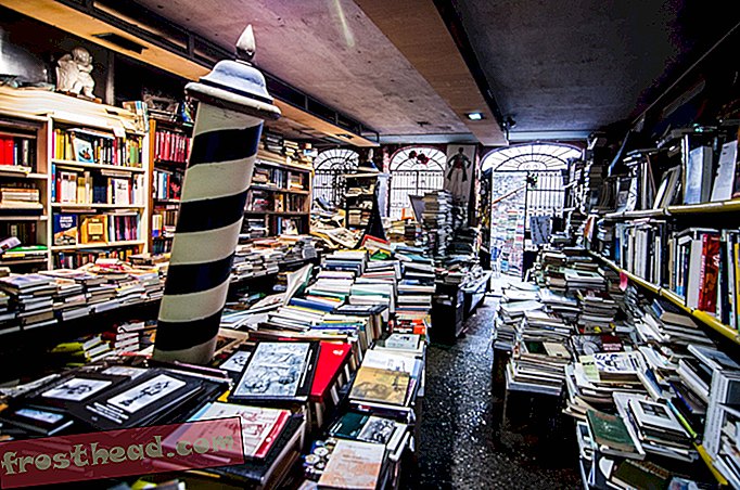 מאמרים, אמנות ותרבות, נסיעות, אירופה - מדוע חנות ספרים זו שומרת את ספריה באמבטיות?