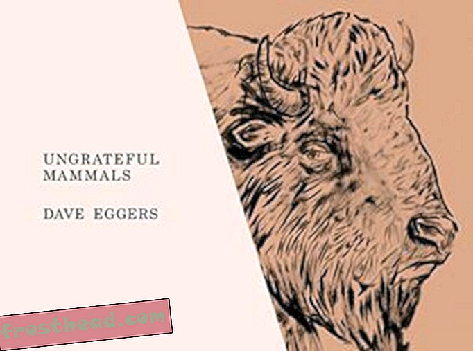 Dave Eggersi loomad võivad olla “tänamatud”, kuid nende põhjuseks on hea