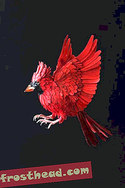 чланци, уметност и култура, уметност и уметници, блогови, колаж уметности и наука, наука, дивљина - Стабло папирних птица Диане Белтран Херрера