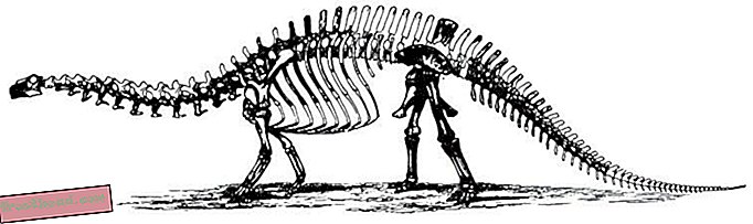 artiklid, ajaveebid, dinosauruste jälgimine, teadus, dinosaurused - Alati mulle Brontosaurus