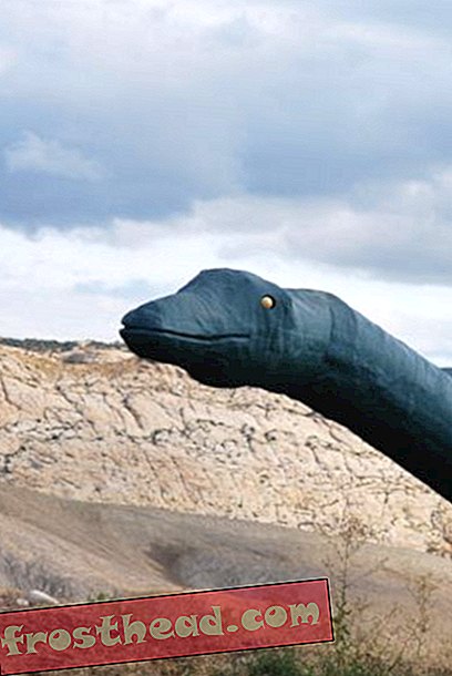 Dinosauruste nägemine: rõõmsameelne Diplodocus