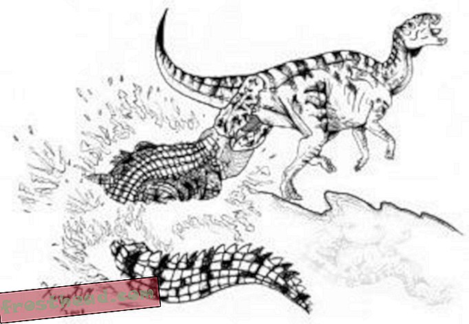 artiklid, ajaveebid, dinosauruste jälgimine, teadus, dinosaurused - Fossiilsed killud on tohutu alligaatori lauajäägid