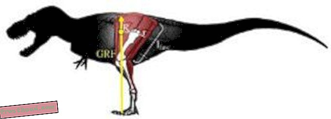 artículos, blogs, seguimiento de dinosaurios, ciencia, dinosaurios - Los dinosaurios grandes se pusieron calientes