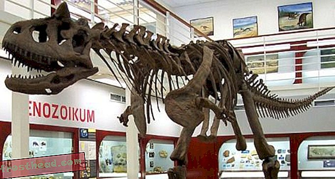 artikel, blog, pelacakan dinosaurus, sains, dinosaurus - Mengapa Carnotaurus memiliki lengan yang lemah?