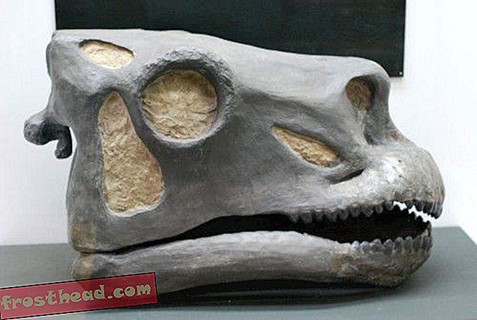 Brontosaurus - Ulos vanhan kallo kanssa, Uuden kallo kanssa
