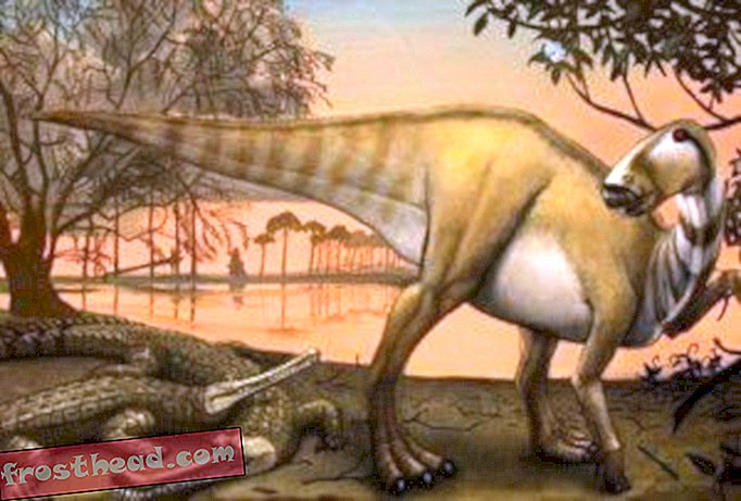 articles, blogs, suivi de dinosaures, science, dinosaures - Les paléontologues du Texas découvrent un croc du Crétacé