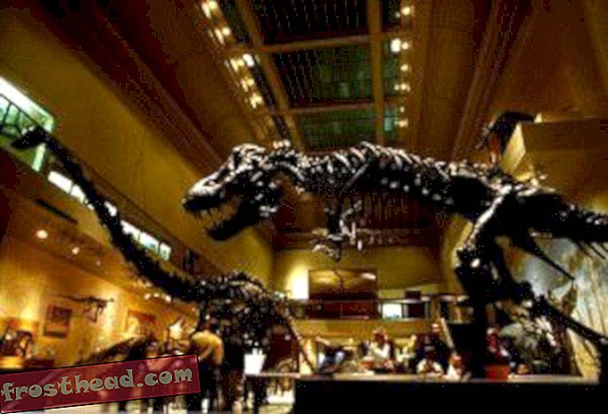 Гласувайте за Музея на динозаврите №1