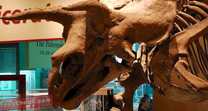 άρθρα, blogs, παρακολούθηση δεινοσαύρων, επιστήμη, δεινόσαυροι - Οι δεινόσαυροι που δεν υπήρξαν ποτέ