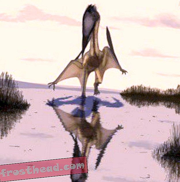 artikel, blog, penjejakan dinosaur, sains, dinosaur - Laman Web Baru Mempunyai Scoop pada Pterosaur