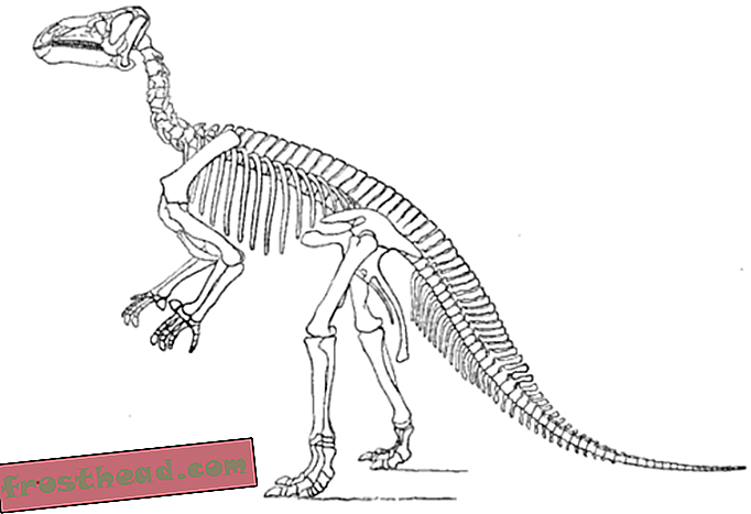 Отодвигая занавес на науку о динозаврах
