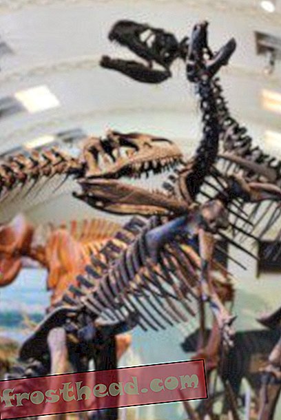 Artikel, Blogs, Dinosaurier-Tracking, Wissenschaft, Dinosaurier - Marshs „Megalosaurus“ aus Utah