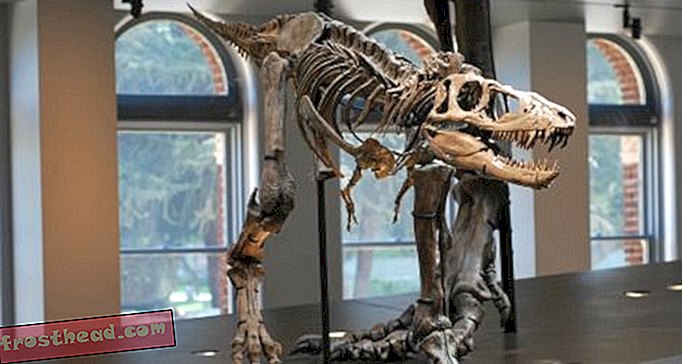 Artikel, Blogs, Dinosaurier-Tracking, Wissenschaft, Dinosaurier - Schöne Dinosaurier zerrissen von der Zeit