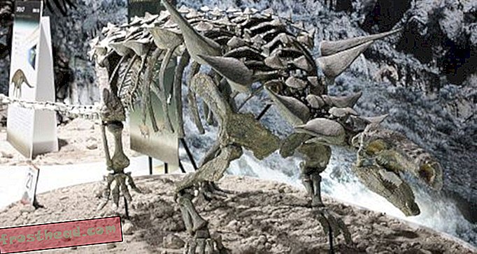 articles, blogs, suivi de dinosaures, science, dinosaures - La piste de nodosaure de la NASA