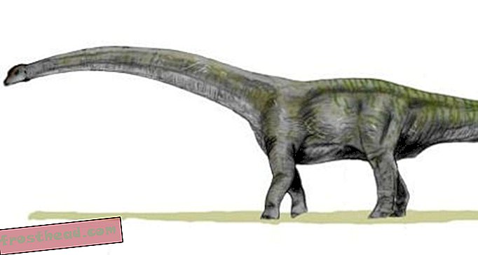 Artikel, Blogs, Dinosaurier-Tracking, Wissenschaft, Dinosaurier - Wie man einen Riesen zusammenbaut