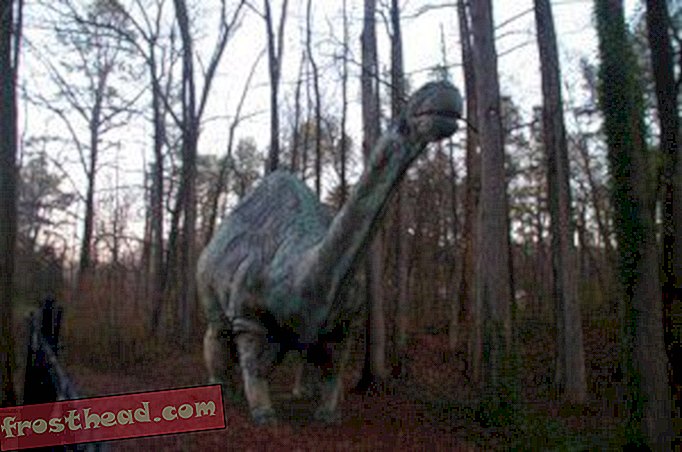articles, blogs, suivi de dinosaures, science, dinosaures - Observation de dinosaures: le vieux “Brontosaure”