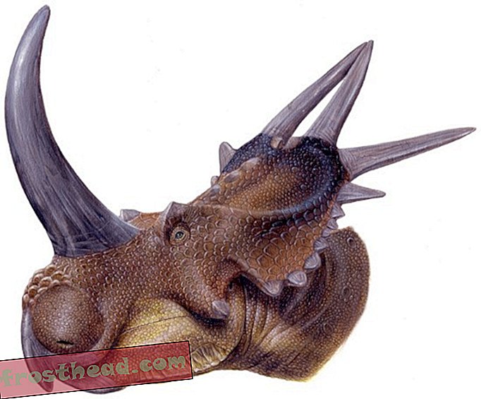 Posljednji stajling Styracosaurusa