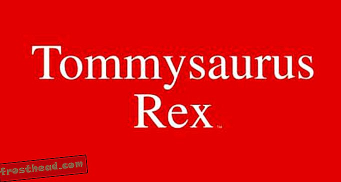 Dinosaures Plume et Encre: Tommysaurus Rex