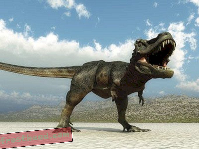 članci, blogovi, praćenje dinosaura, znanost, dinosauri - Tyrannosaurus Rex: naoružan i opasan