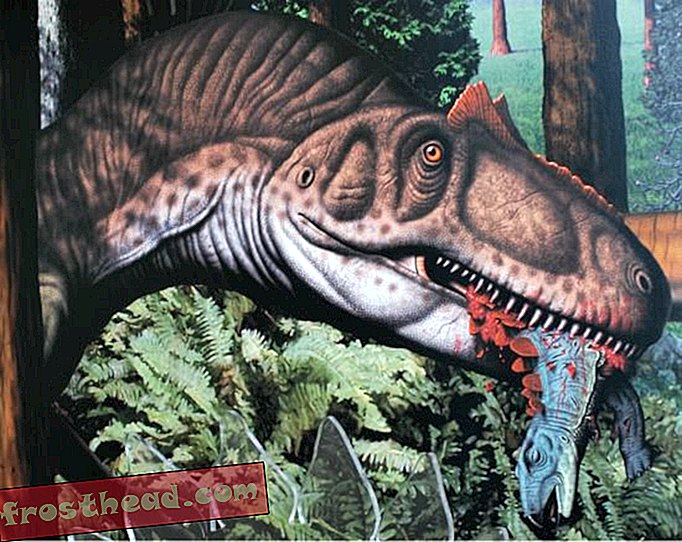 чланци, блогови, праћење диносауруса, наука, диносауруси - Амерички прави јурски парк поново се отвара