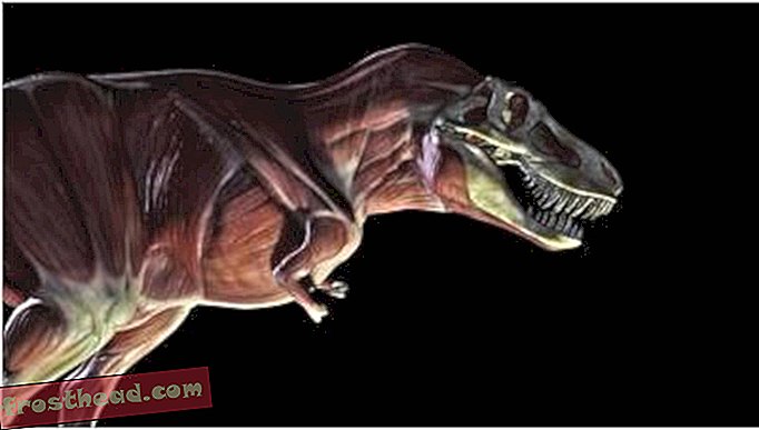 Discovery Channel dinosaurused hammustatakse tagasi